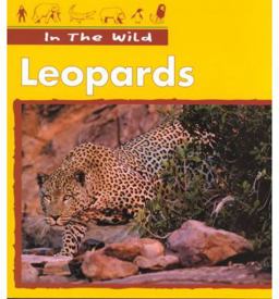 Leopards Leopards