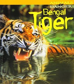 Bengal Tiger
