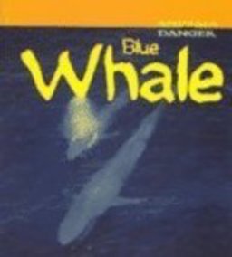 Blue Whale