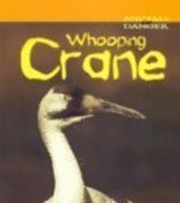 Whooping Crane
