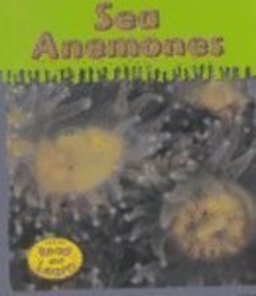 Sea Anemones
