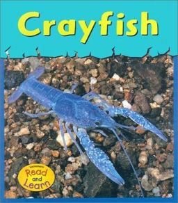 Crayfish