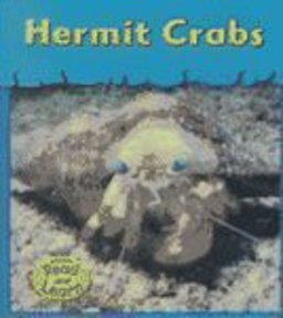 Hermit Crabs