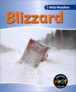 Blizzard
