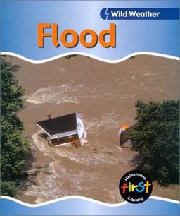 Flood