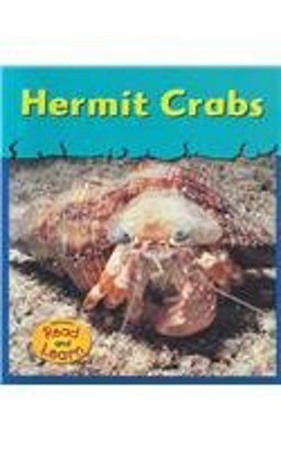 Hermit Crabs