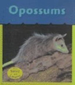 Opossums