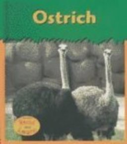 Ostrich