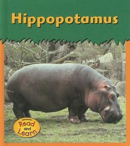 Hippopotamus