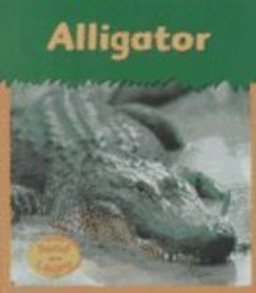 Alligator