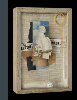 Birds of a Feather Joseph Cornell's Homage to Juan Gris  9781588396273 Front Cover
