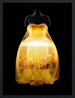 Sleeping Beauties Sleeping Beauties