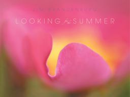 Looking for the Summer  9781589232327 Front Cover