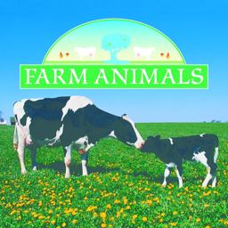 Farm Animals Farm Animals
