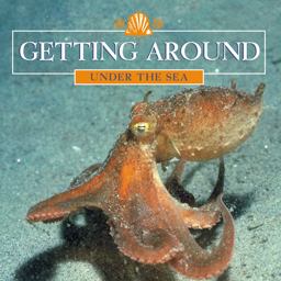 Getting Around Getting Around