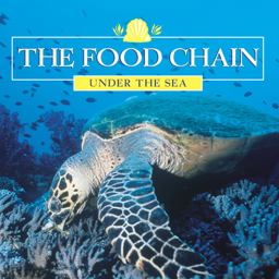 The Food Chain The Food Chain