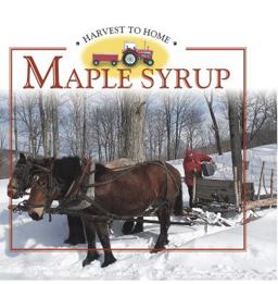 Maple Syrup Maple Syrup