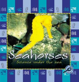 Sea Horses Sea Horses