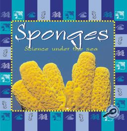 Sponges Sponges