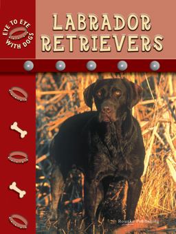 Labrador Retrievers Labrador Retrievers