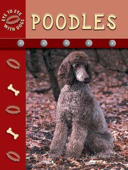 Poodles Poodles