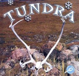 Tundra Tundra