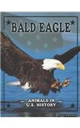Bald Eagle Bald Eagle
