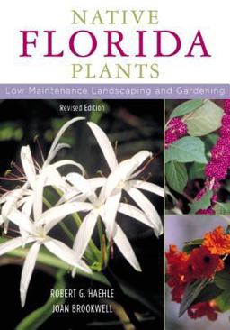 Native Florida Plants Low Maintenance Landscaping and Gardening 2nd 9781589790513 Front Cover