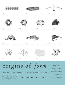 Origins of Form Origins of Form