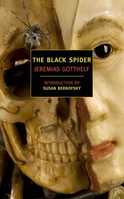 Black Spider  9781590176689 Front Cover