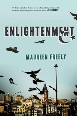 Enlightenment A Novel  9781590202098 Front Cover