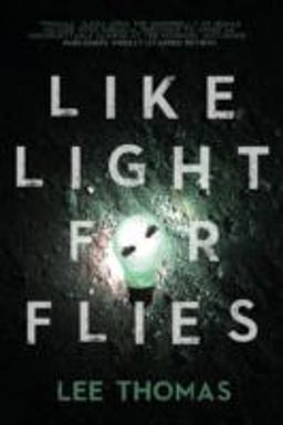 Like Light for Flies