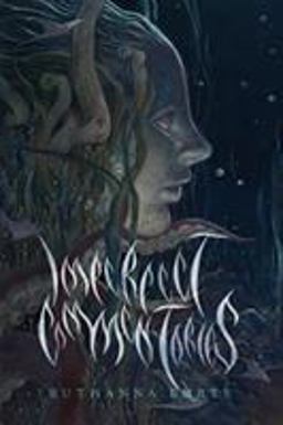 Imperfect Commentaries