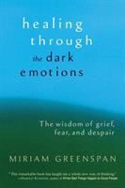 Healing Through the Dark Emotions The Wisdom of Grief, Fear, and Despair  9781590301012 Front Cover