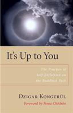 It's up to You The Practice of Self-Reflection on the Buddhist Path  9781590303818 Front Cover