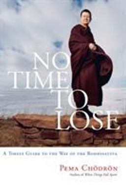 No Time to Lose A Timely Guide to the Way of the Bodhisattva  9781590304242 Front Cover