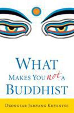 What Makes You Not a Buddhist  9781590305706 Front Cover