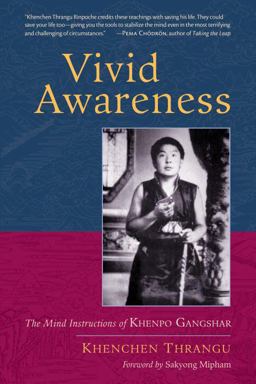 Vivid Awareness The Mind Instructions of Khenpo Gangshar  9781590308165 Front Cover