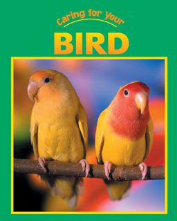 Caring for Your Bird