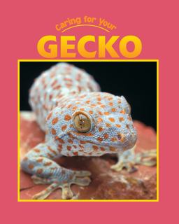 Caring for Your Gecko