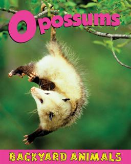 Opossums