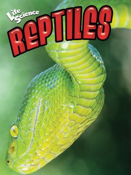 Reptiles