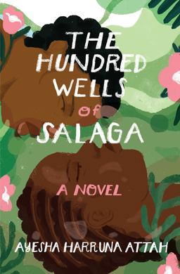Hundred Wells of Salaga A Novel  9781590519950 Front Cover