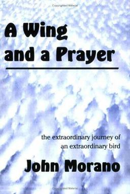 A Wing and a Prayer