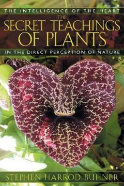 Secret Teachings of Plants The Intelligence of the Heart in the Direct Perception of Nature  9781591430353 Front Cover