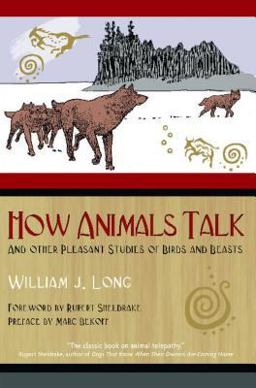 How Animals Talk