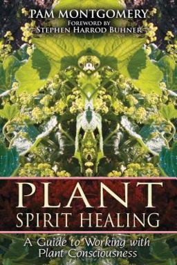 Plant Spirit Healing A Guide to Working with Plant Consciousness  9781591430773 Front Cover