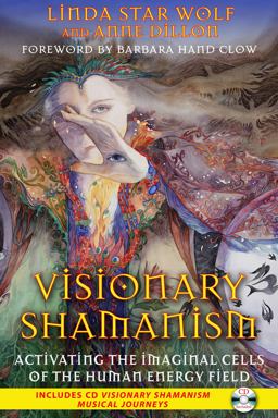 Visionary Shamanism Activating the Imaginal Cells of the Human Energy Field  9781591431312 Front Cover