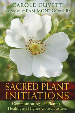 Sacred Plant Initiations Communicating with Plants for Healing and Higher Consciousness  9781591432135 Front Cover
