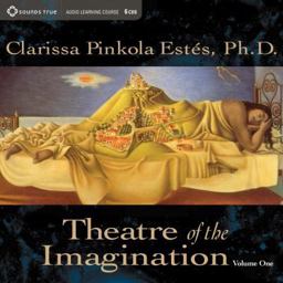 Theatre of the Imagination  9781591793830 Front Cover